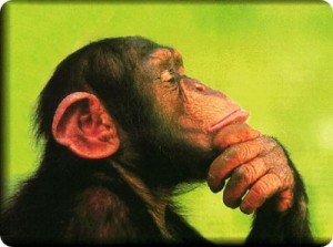 seduzione 300x223 Non prenderti le scimmie degli altri!